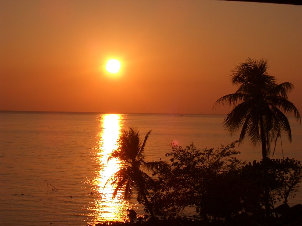 Click to See Next Image